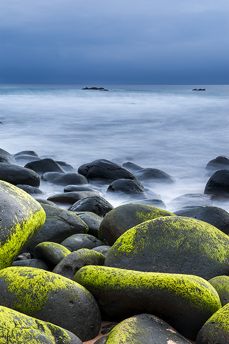 Expert Advice: Landscape Insights (Part Three)